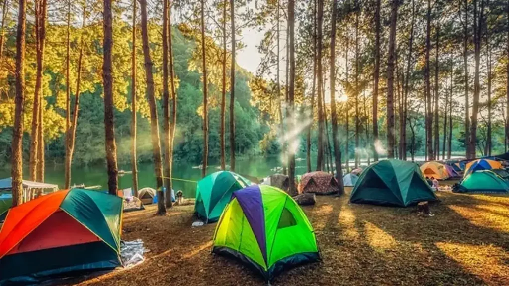 How Beginer Guide Choose Campsite
