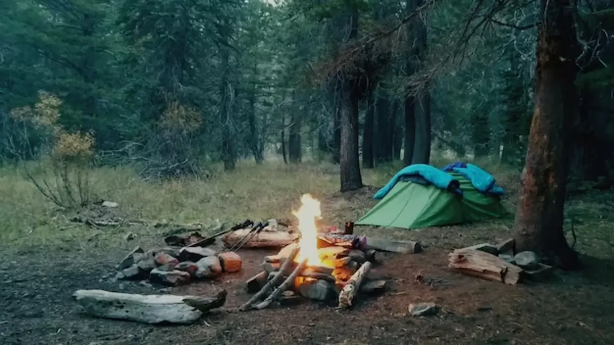 Camping 101: A Complete Beginner Guide
