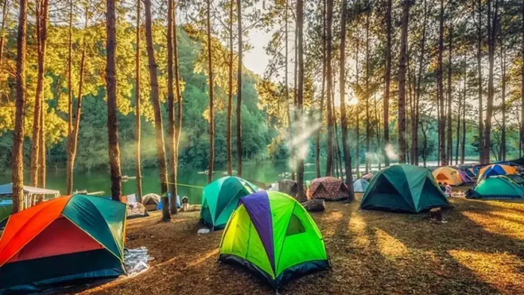 How Beginer Guide Choose Campsite